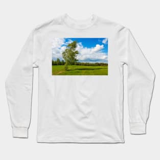 Lonely birch torn by the strong wind Long Sleeve T-Shirt